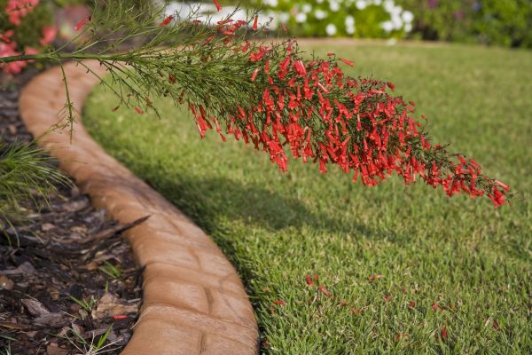 Brick Edging in Fort Smith