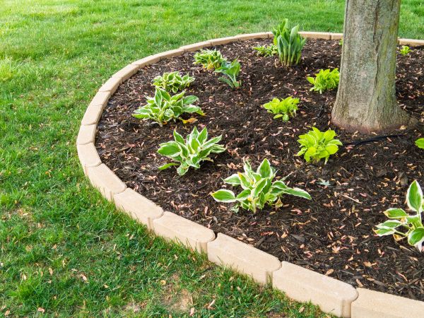 Stone Border Installation in Fort Smith