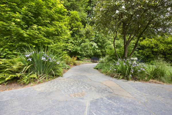 Stone Hardscape Service in Fort Smith
